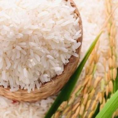 Common 100% Pure White Medium Grain Natural And Pure Raw Basmati Rice For Cooking 