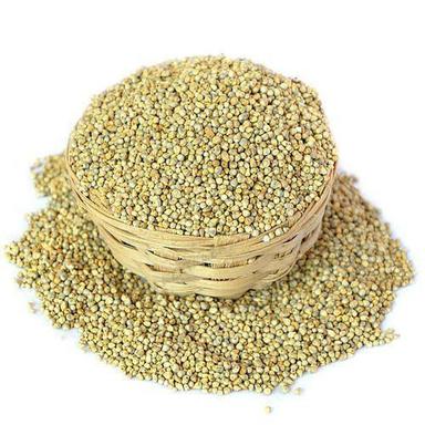 Gluten-Free Small-Size 100% Pure Green Domestic Pearl Millet Seeds Crop Year: Current Years Years