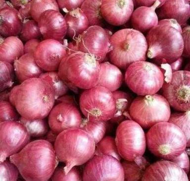 Enhance The Flavor Rich Healthy Natural Taste Fresh Red Onion Moisture (%): 63-83%