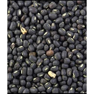 100 Percent Pure And Natural High Premium Quality Nutrients Rich Dried Black Gram
