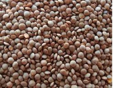 99% Pure Highly Nutritent Enriched Fresh And Organic Brown Masoor Dal Admixture (%): 2%