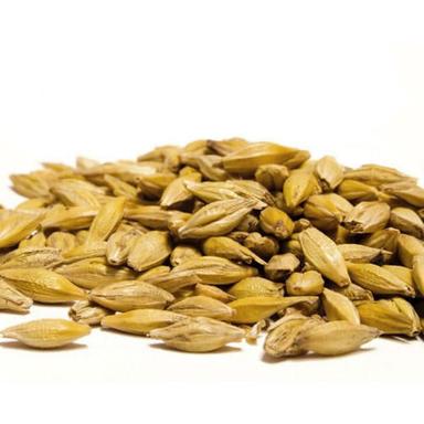 Brown Easy To Digest, Delicious Taste, Natural And Organic Barley Malt For Cooking