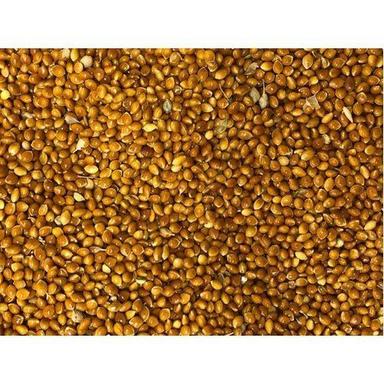 Organic 500 Grams Natural Red Millet With High In Protein