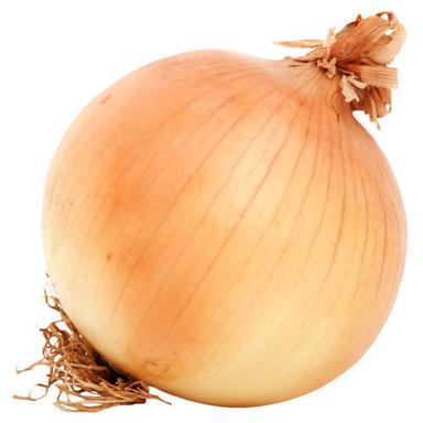 Round Organic Fresh Brown Onion With 3 Days Shelf Life And Antioxidants Properties