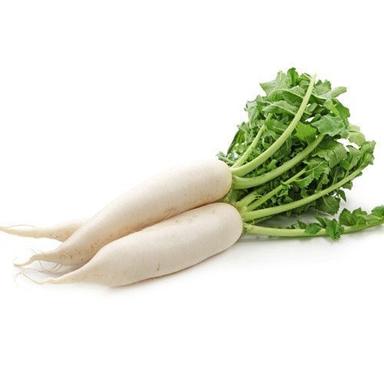 Long Natural Organic Fresh Radish With 3 Days Shelf Life And Rich In Health Benefits