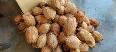 भूरा 100 प्रतिशत प्राकृतिक मीठा और स्वादिष्ट पोलाची सेमी हस्केड फ्रेश नारियल