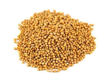 Healthy, Nutrients, Vitamins And Minerals Enriched Organic And Yellow Colour Mustard Seeds Grade: A