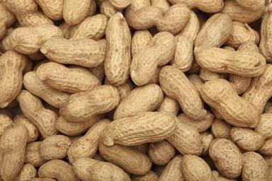 Brown Rich In Protein High In Protein Healthy And Nutritious Rich Taste Dried Peanuts