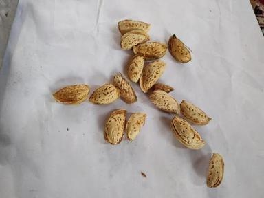 Cream 100% Purity Kashmiri Almond Shell For Food Grade(Broken Rate 5%)