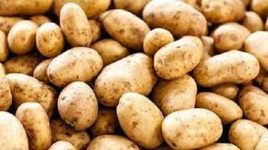 100 Percent Natural Pure And Organic Brown Color Potato Medium Size, Good Source Of Fiber Moisture (%): 17%