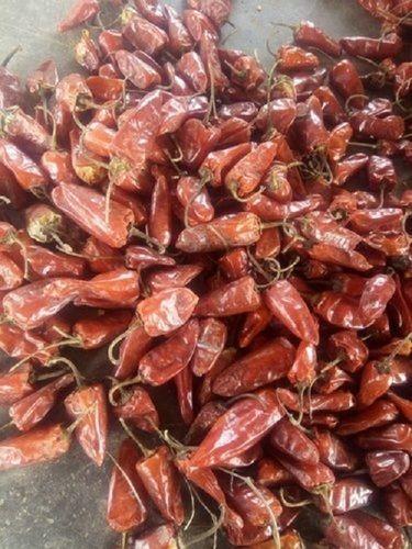 Assam Tepa Red Chilli For Making Food And Pickles