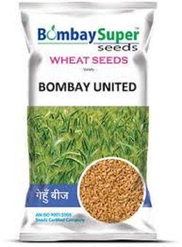 Brown Bombay United Super Wheat Seed 100 Percent Natural And Organic Eco Friendly