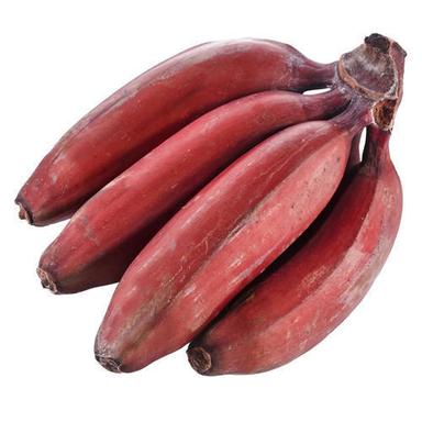 Common Rich Source Of Potassium Magnesium Copper Vitamins Minerals And Anti Oxidants Fresh Sweet Red Banana