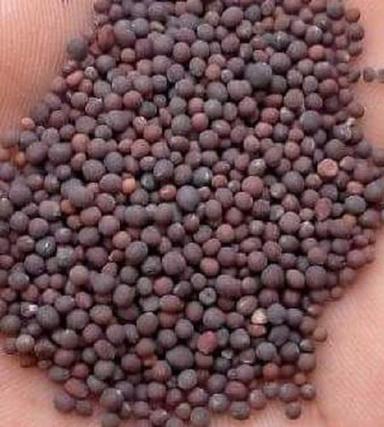 Common High Nutritional Value Natural Taste Healthy And Nutritious Fresh Organic Black Mustard Seeds