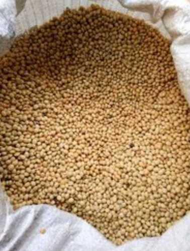 Common 100 Percent Goods Sourace Of Protein Fresh Soya Beans Chanks