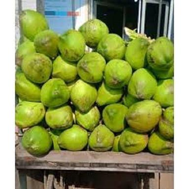 Gmo 100% Natural And Fresh Green Coconut Water For Summers To Hydrate Your Body