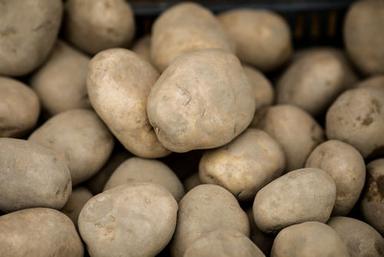 100% Natural And Healthy With No Artificial Color Fresh Potato For Cooking Moisture (%): 5%