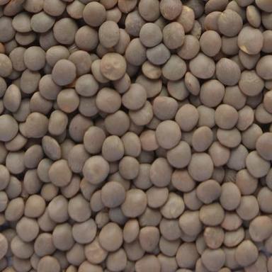 99% Pure Organic Nutritious Enriched Unpolished Brown Fresh Masoor Dal  Admixture (%): 15%