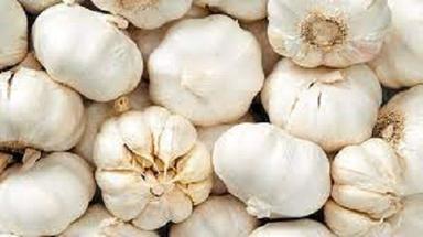 100 Percent Healthy Natural And Fresh Garlic Rich In Vitamins And Iron Moisture (%): 17%