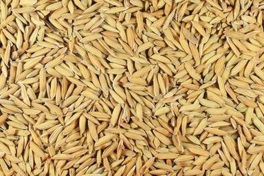 Easy To Grow Highly Effective Natural Brown Pb 1718 Paddy Seed Admixture (%): %