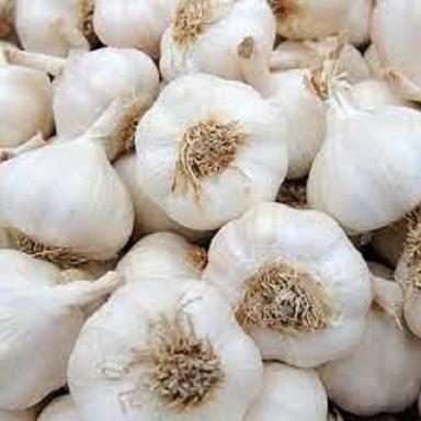  Organic Fresh White Garlic Without Pesticides Or Chemicals. And Health Benefits Moisture (%): 17%