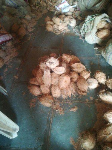 भोजन और पूजा के उद्देश्य के लिए भूरा 100% प्राकृतिक और जैविक ताजा अर्ध भूसी नारियल 