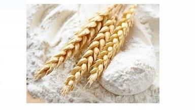 White Color Organic And Natural Wheat Flour Used For Cooking Carbohydrate: 2 Grams (G)