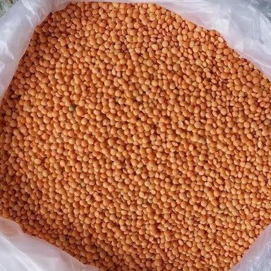 Rich In Protein Natural Taste Healthy Dried Red Organic Masoor Dal Admixture (%): 0.9%