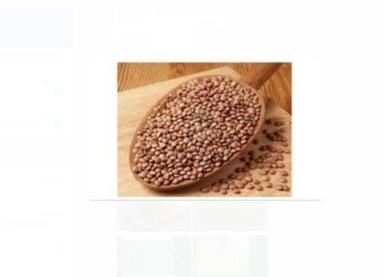 500 Gram, Organic Whole Brown Masoor Dal, High In Protein, Round Shape Admixture (%): 2%