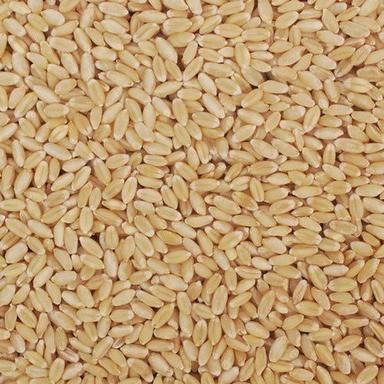 Highly Nutrition Enriched A-Grade 100% Pure Organic Brown Wheat Grain Moisture (%): 30% To 35%