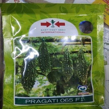 Green Rich In Vitamins Minerals And Antioxidants East West Pragati 065 Hybrid Bitter Gourd Seeds