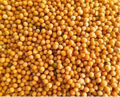 A Grade Natural Yellow Color Mustard Seeds With High Nutritious Shelf Life: 2 Years