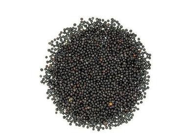 A Grade Organic Black Color Mustard Seeds With High Nutritious Values Weight: 1  Kilograms (Kg)