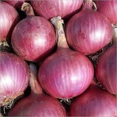 Enhance The Flavor Rich Healthy Fine Natural Taste Organic Fresh Red Onion Moisture (%): 63-83%