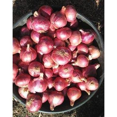 Round 100 Percent Fresh And Pure A Grade Red Onion With Potassium Or Vitamin C