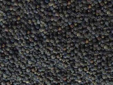 Balck Black Pepper For Cooking And Snack Use, Good For Health, Free From Contamination