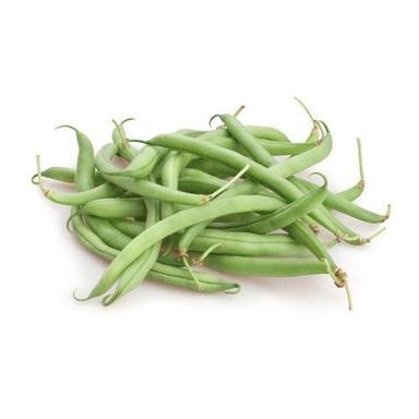 Fresh Green Beans With 2 Days Shelf Life And Rich In Vitamin C And Oxidants Properties Grade: A