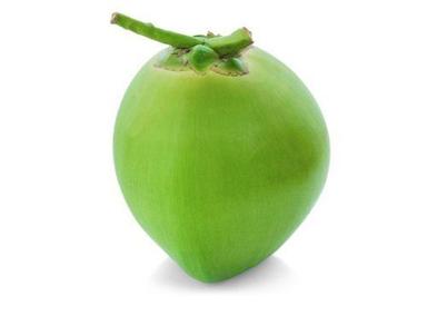 Common Green Natural Farm Fresh Tender Coconut With Antioxidants Properties, Vitamin B6, B12