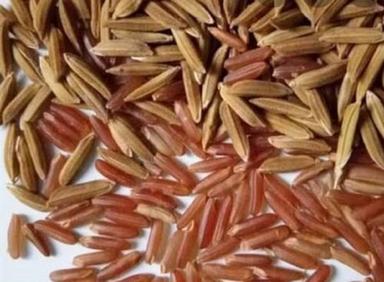 Brown A Grade 100% Pure And Natural Generic Red Rice Paddy Seeds For Agriculture