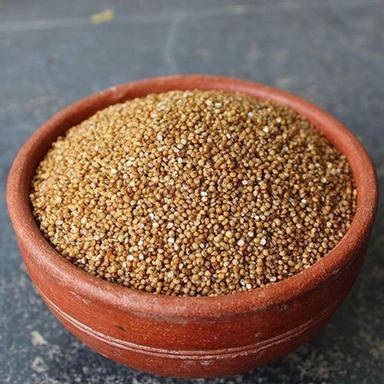 Brown High Quality, Reasonable Rates, Rich In Vitamins, Minerals And High In Protein Organic Foxtail Millet