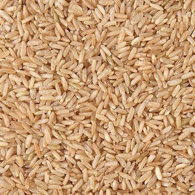 Medium Grain Brown Rice With 1 Year Warranty And Rich In Vitamin E And Gluten Free Crop Year: 6 Months