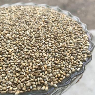 Brown Naturally Grown, Graded, Sorted And Premium Quality Cleaned Organic Pearl Millet