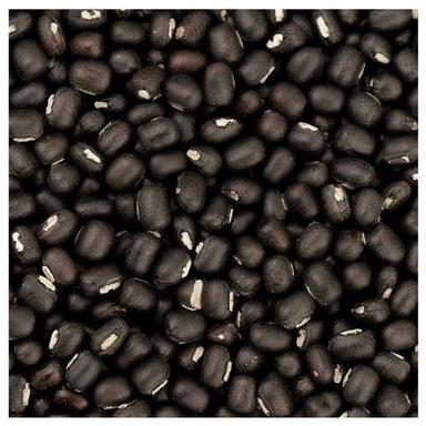 Wholesale Price Organic Dried And Cleaned Whole Black Urad Dal With 99% Purity Broken (%): Nil