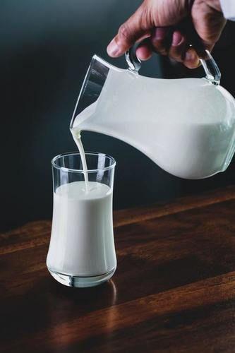 100 Percent Natural And Pure Impurity Free Cow Milk Age Group: Adults