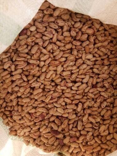 100% Pure And Organic Fresh Brown Color Kidney Beans For Cooking Grade: Food Grade