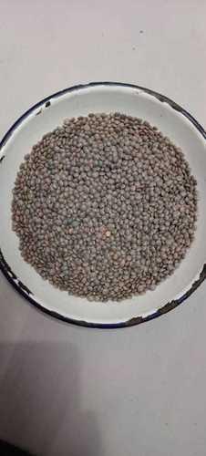 Best Price Export Quality Natural Organic Dried And Cleaned Masoor Dal With 99% Purity Broken (%): Nil