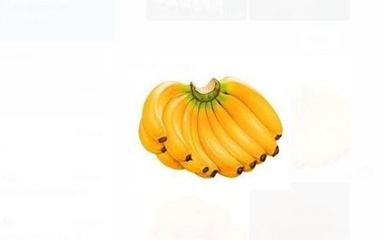 Yellow 100% Fresh And Organic Cavendish Banana Fruit With High Potassium
