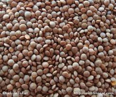 100 Percent Natural Pure And Healthy Unpolished Black Masoor Dal Admixture (%): 0.5%