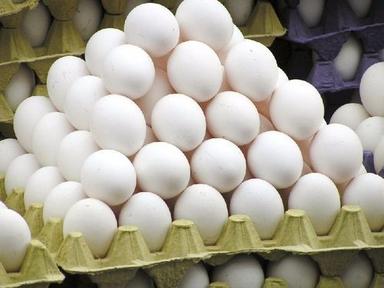 Egg Chicken Egg, Longer Shelf Life Healthy Nutrition Rich High In Protein