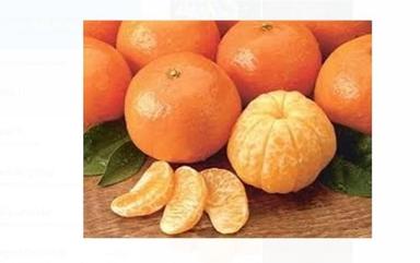 Round Wholesale Price Dwarf Sweet And Tasty Organic Fresh Orange Fruit For Juice